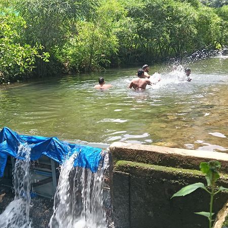 Tharayil Farm Stay Vagamon Eksteriør billede
