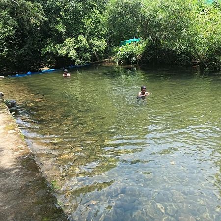 Tharayil Farm Stay Vagamon Eksteriør billede