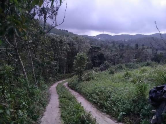 Tharayil Farm Stay Vagamon Eksteriør billede