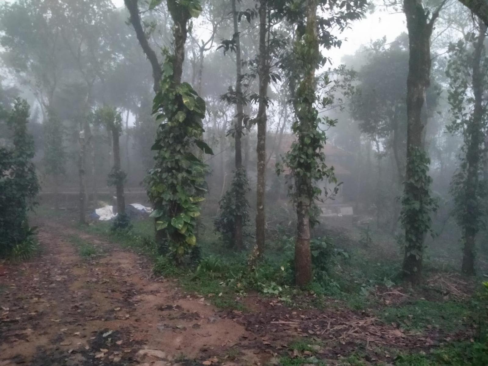 Tharayil Farm Stay Vagamon Eksteriør billede