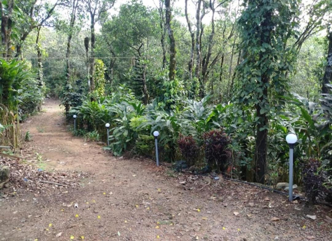 Tharayil Farm Stay Vagamon Eksteriør billede