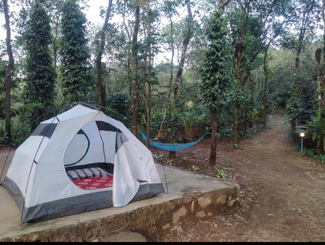 Tharayil Farm Stay Vagamon Eksteriør billede