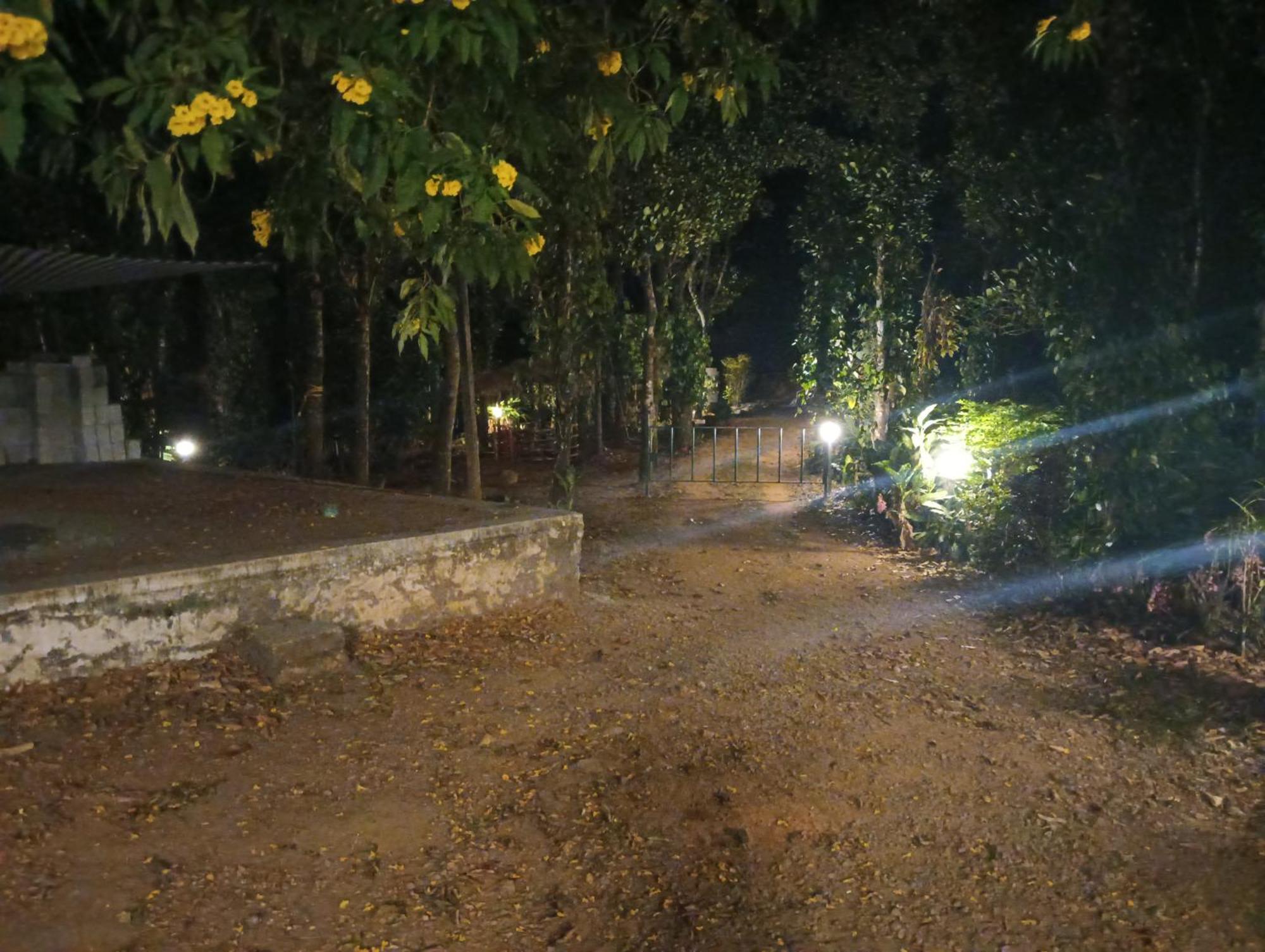 Tharayil Farm Stay Vagamon Eksteriør billede