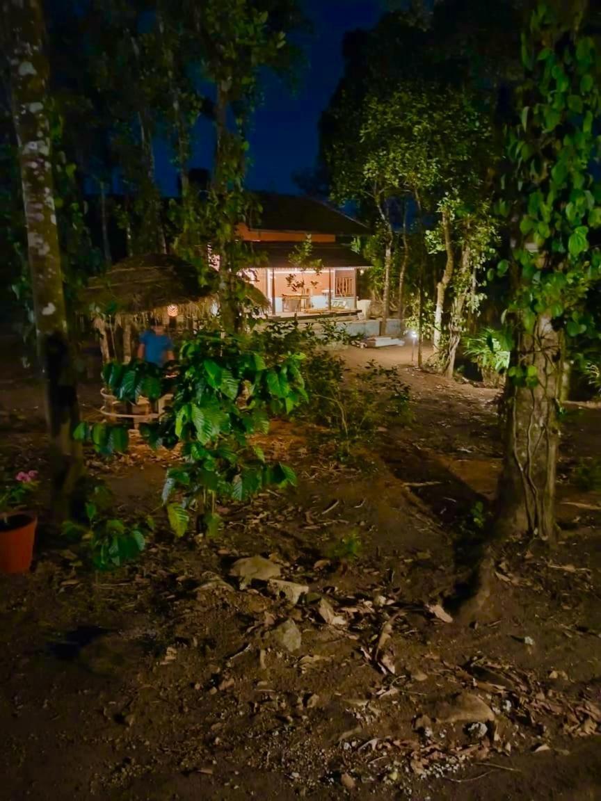 Tharayil Farm Stay Vagamon Eksteriør billede