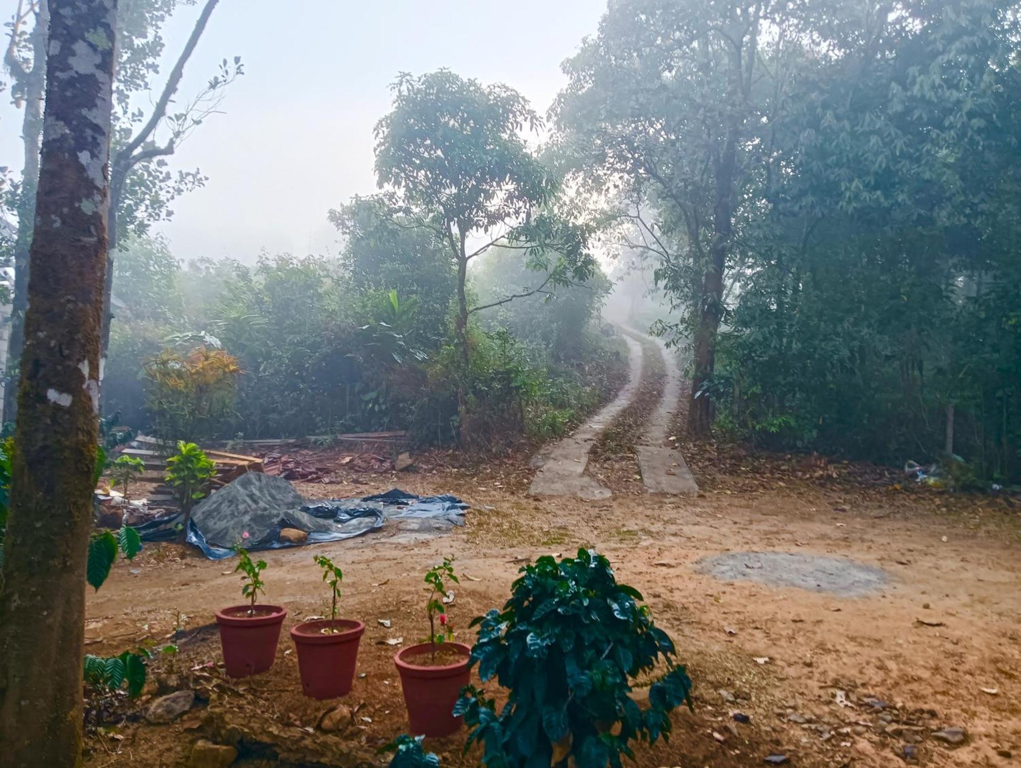 Tharayil Farm Stay Vagamon Eksteriør billede