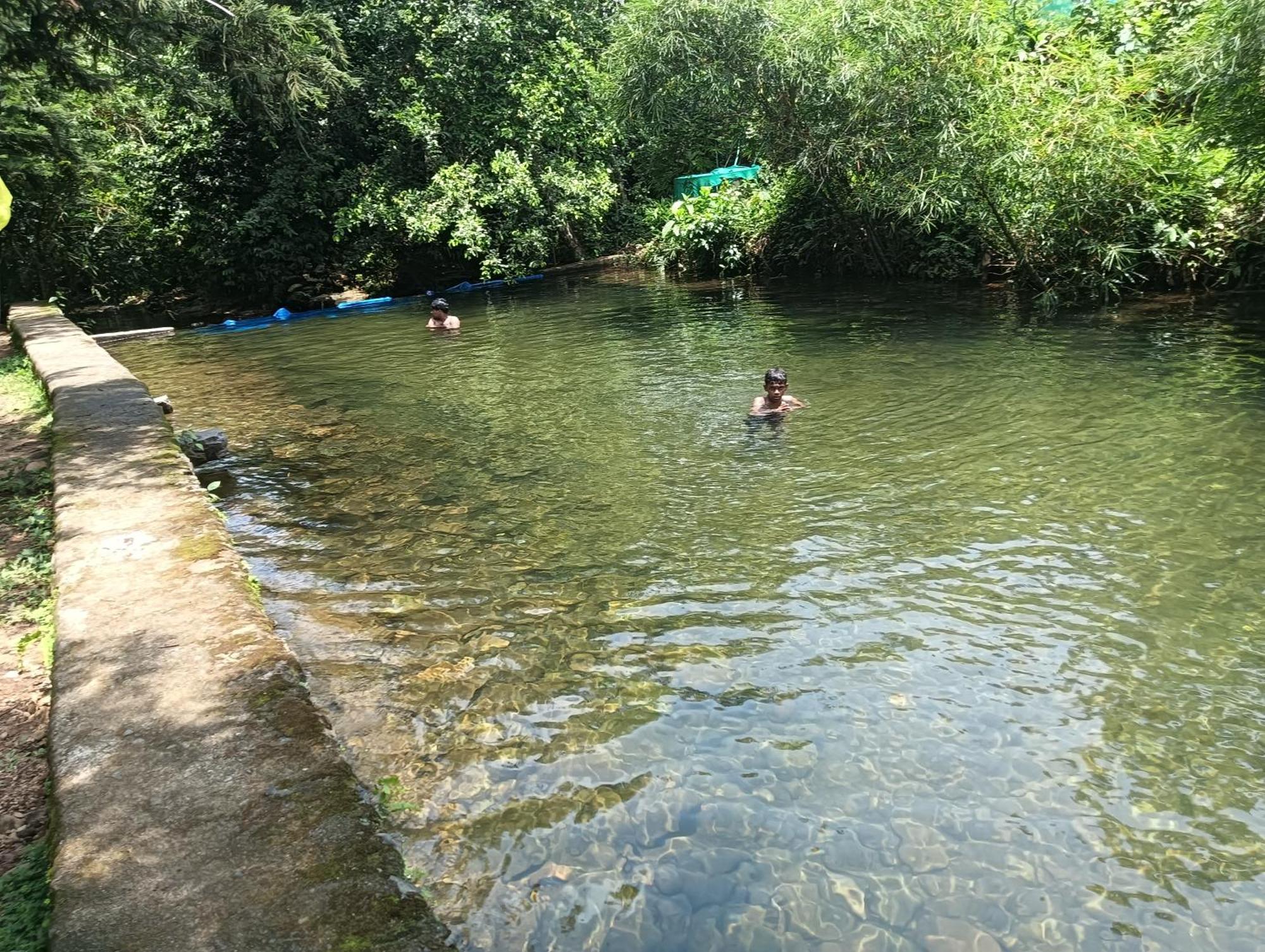 Tharayil Farm Stay Vagamon Eksteriør billede